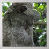 Sloth Poster (Vorne)