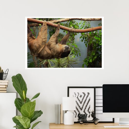 Sloth Poster (Heimbüro)