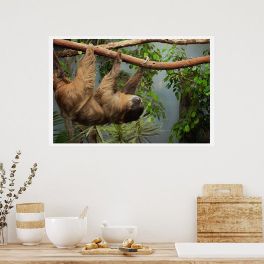 Sloth Poster (Küche)