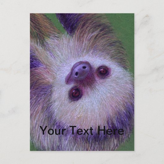 Sloth Postkarte (Vorderseite)