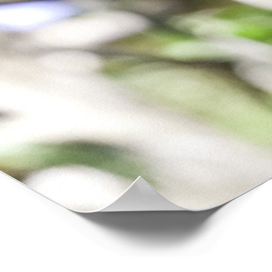 Sloth Print Poster (Ecke)