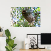 Sloth Print Poster (Heimbüro)