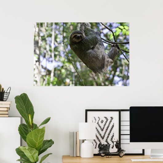 Sloth Print Poster (Heimbüro)