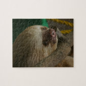 Sloth Puzzle (Horizontal)