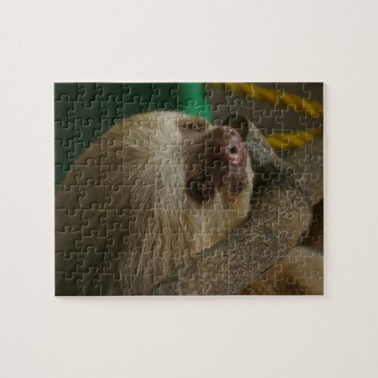 Sloth Puzzle (Horizontal)