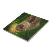Sloth Rainforest Geschenke Fliese (Seite)