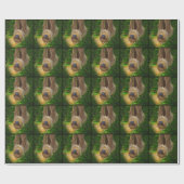 Sloth Rainforest Geschenke Geschenkpapier (Flach)