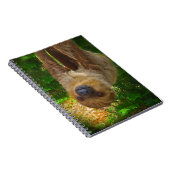Sloth Rainforest Geschenke Notizblock (Rechte Seite)