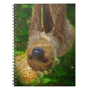 Sloth Rainforest Geschenke Notizblock