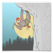 Sloth Rock climbing Fotodruck (Vorne)