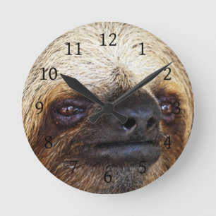 Sloth Runde Wanduhr