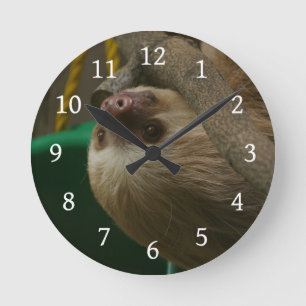 Sloth Runde Wanduhr