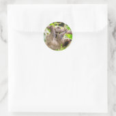 Sloth Runder Aufkleber (Tasche)