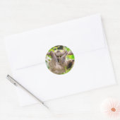 Sloth Runder Aufkleber (Umschlag)