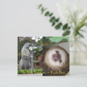 Sloth Sanctuary Postkarte (Stehend Vorderseite)