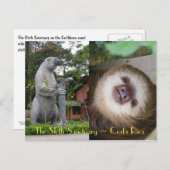 Sloth Sanctuary Postkarte (Vorne/Hinten)