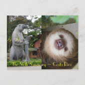 Sloth Sanctuary Postkarte (Vorderseite)