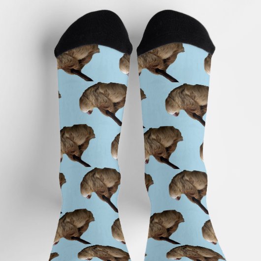 Sloth Socken (Oben)