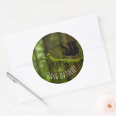 Sloth Tennis Player mit Text im Regenwald Runder Aufkleber (Umschlag)