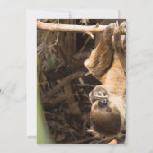 Sloth Tree Tops Adventure Einladungen (Rückseite)