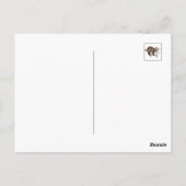 Sloth und Steady Postkarte (Rückseite)