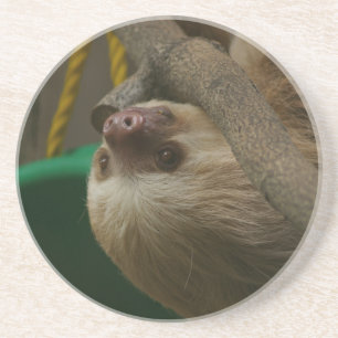 Sloth Untersetzer