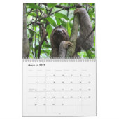 Sloths 12-monatige Kalender Sloth Fotografien (Mär 2027)