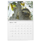 Sloths 12-monatige Kalender Sloth Fotografien (Feb 2027)