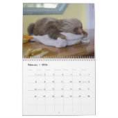 Sloths 2023 Kalender lustig und niedlich (Feb 2026)