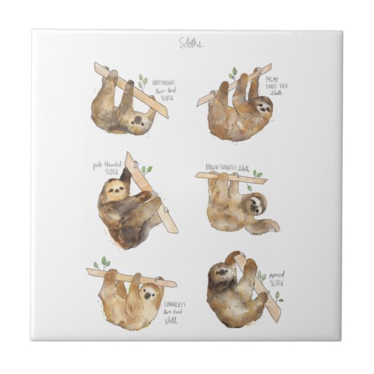 Sloths Classic Fliese (Vorderseite)