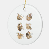 Sloths Classic Keramik Ornament (Links)