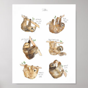 Sloths Classic Poster