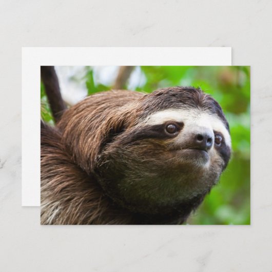 Slotprofil Holiday Postcard Feiertagspostkarte (Vorne/Hinten)