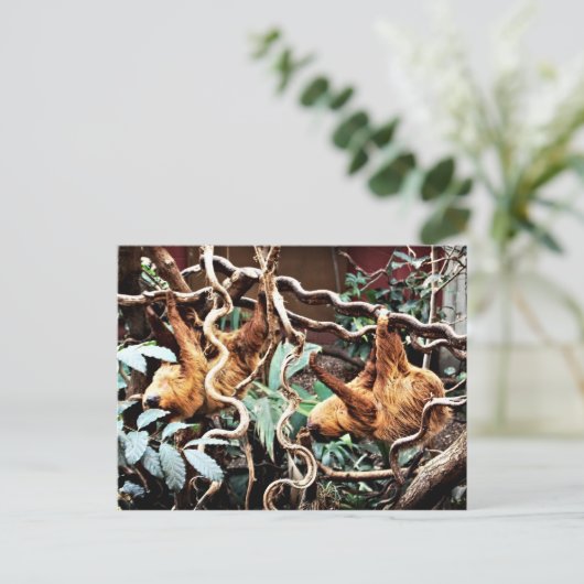 Slots Postkarte (Stehend Vorderseite)