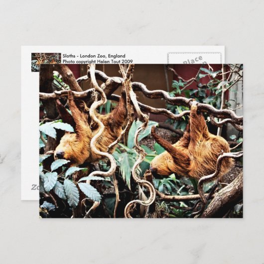 Slots Postkarte (Vorne/Hinten)