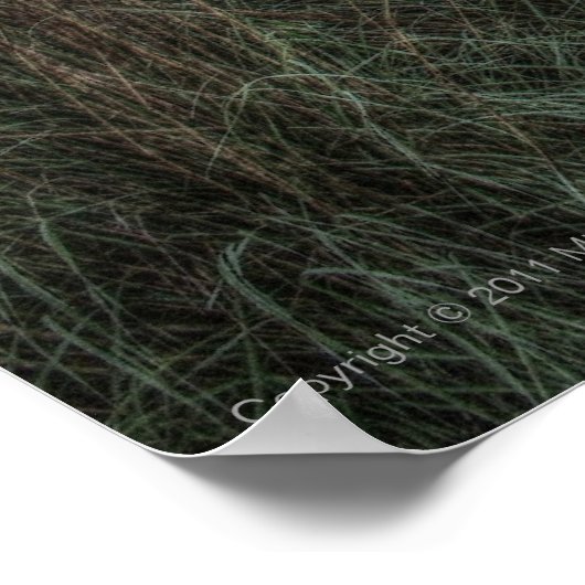 Slough am Morgen Print Poster (Ecke)