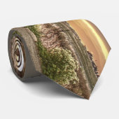 Slough and Mountains at Sunrise Krawatte (Gerollt)