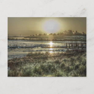 Slough at Dawn Postcard Postkarte