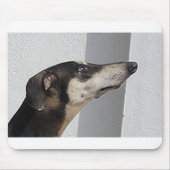 Sloughi.png Mousepad (Vorne)