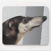 Sloughi.png Mousepad (Vorne)