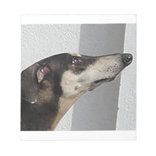 Sloughi.png Notizblock