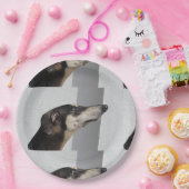 Sloughi.png Pappteller (Party)