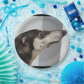 Sloughi.png Pappteller (Party)