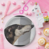 Sloughi.png Pappteller (Party)