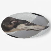 Sloughi.png Pappteller (Schrägansicht)