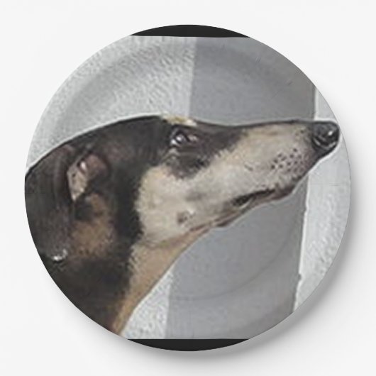 Sloughi.png Pappteller (Vorderseite)