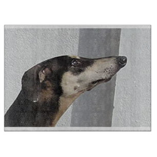 sloughi.png schneidebrett