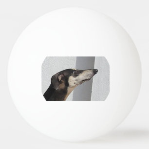 Sloughi.png Tischtennisball