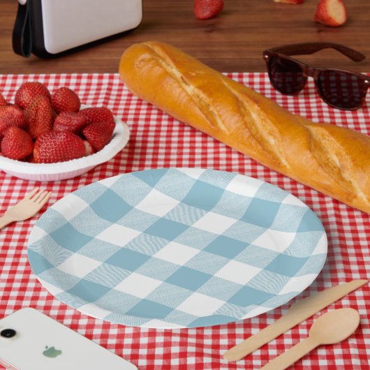 Slow-Living Ice Blue Check Pappteller (Picknick)