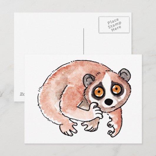Slow Loris Postcard Postkarte (Vorne/Hinten)